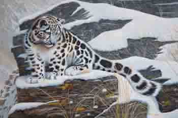 Snow Leopard Cub